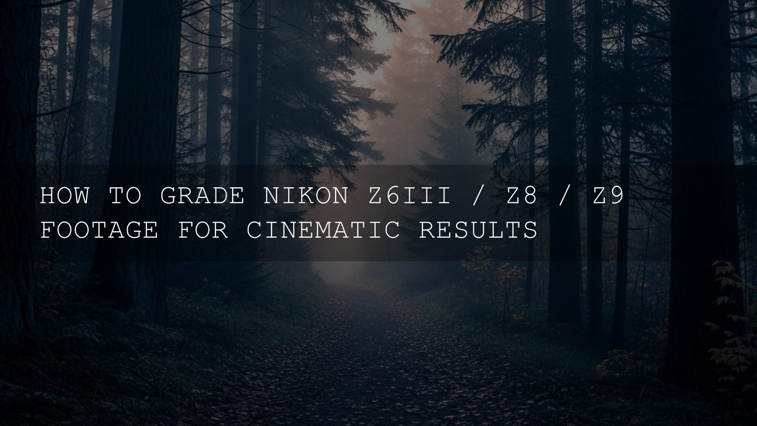 Unlocking Cinematic Brilliance: A Comprehensive Guide to Grading Your Nikon Z6 III, Z8, and Z9 Footage