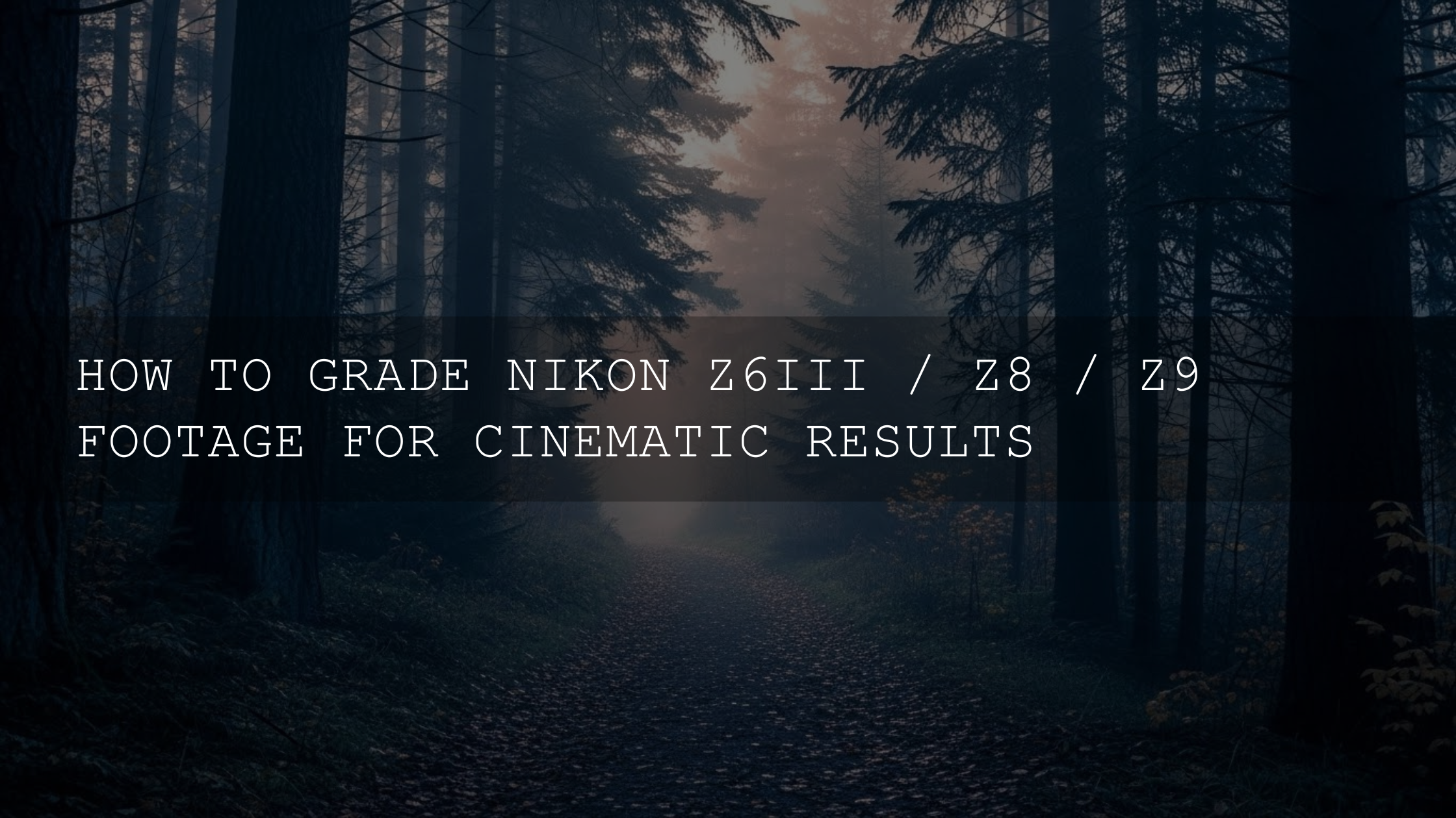 Unlocking Cinematic Brilliance: A Comprehensive Guide to Grading Your Nikon Z6 III, Z8, and Z9 Footage
