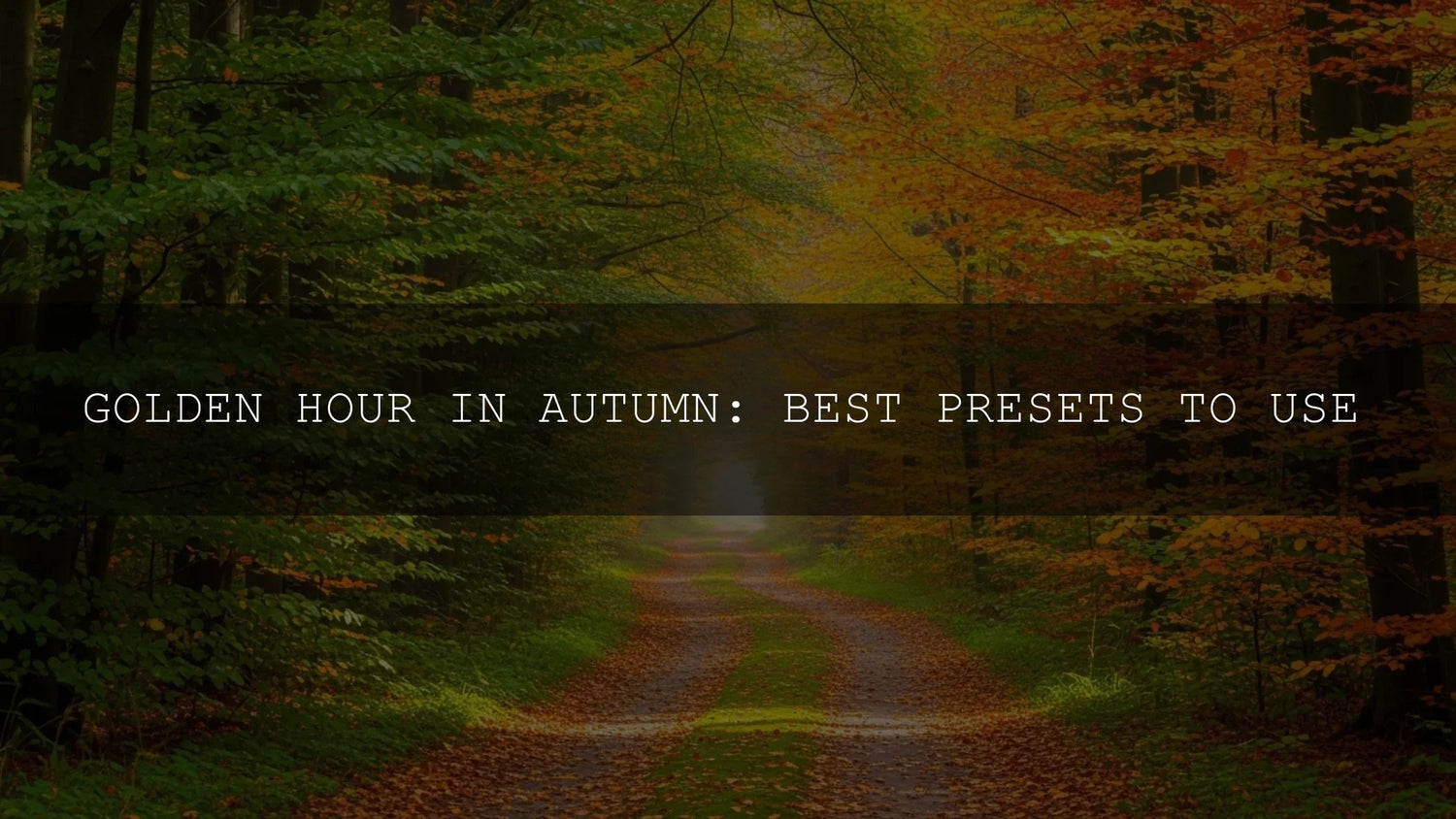 Golden Hour in Autumn: The Ultimate Preset Guide to Capture That Magical Glow - AAA Presets