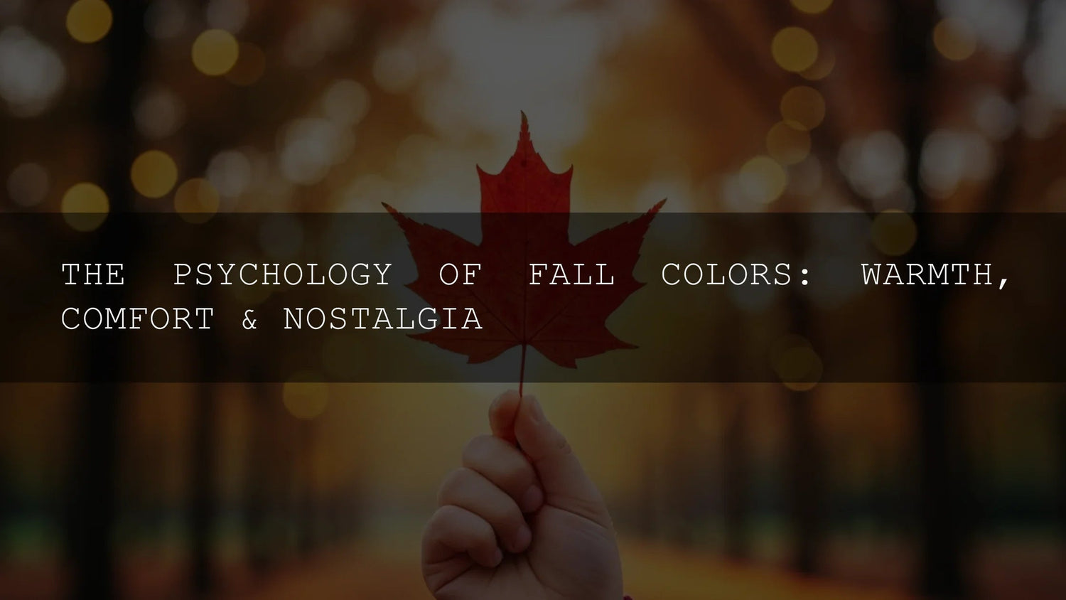 The Psychology of Fall Colors: Unpacking the Warmth, Comfort, and Nostalgia of Autumn's Palette - AAA Presets