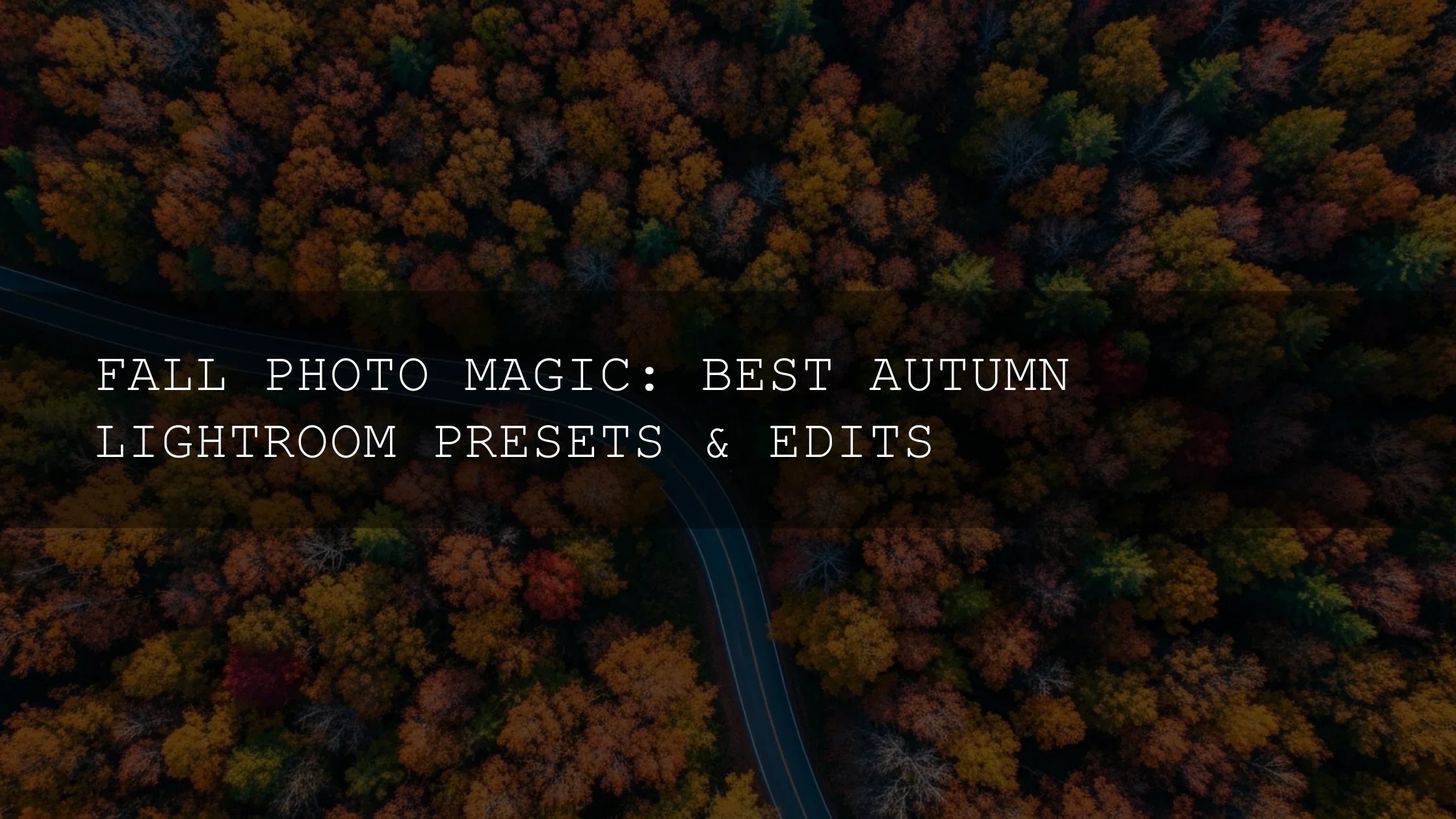 Fall Photo Magic: Your Comprehensive Guide to Stunning Autumn Edits - AAA Presets