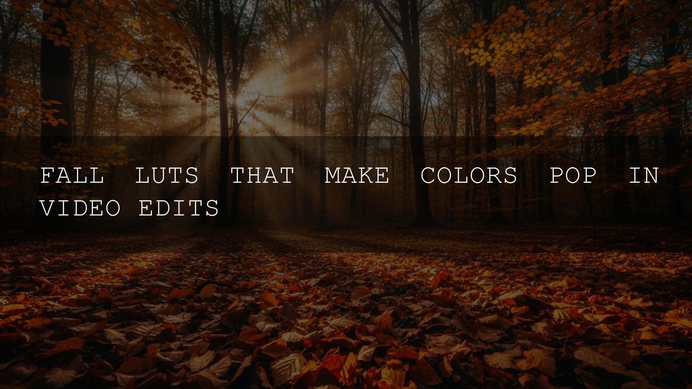 Unlock the Magic of Autumn: Fall LUTs That Make Your Video Colors Truly Pop! - AAA Presets