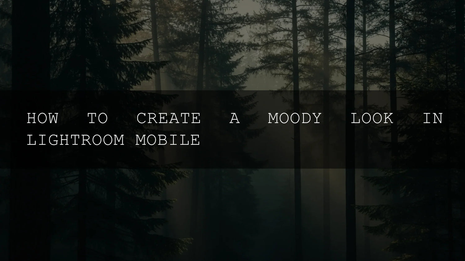 Unlock the Drama: Mastering the Moody Look in Lightroom Mobile for Stunning Photography