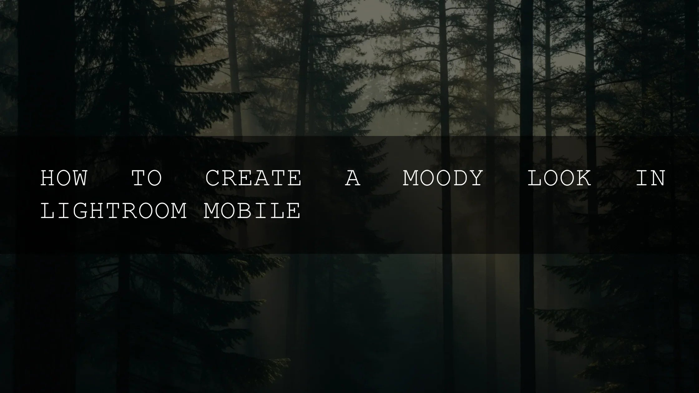 Unlock the Drama: Mastering the Moody Look in Lightroom Mobile for Stunning Photography