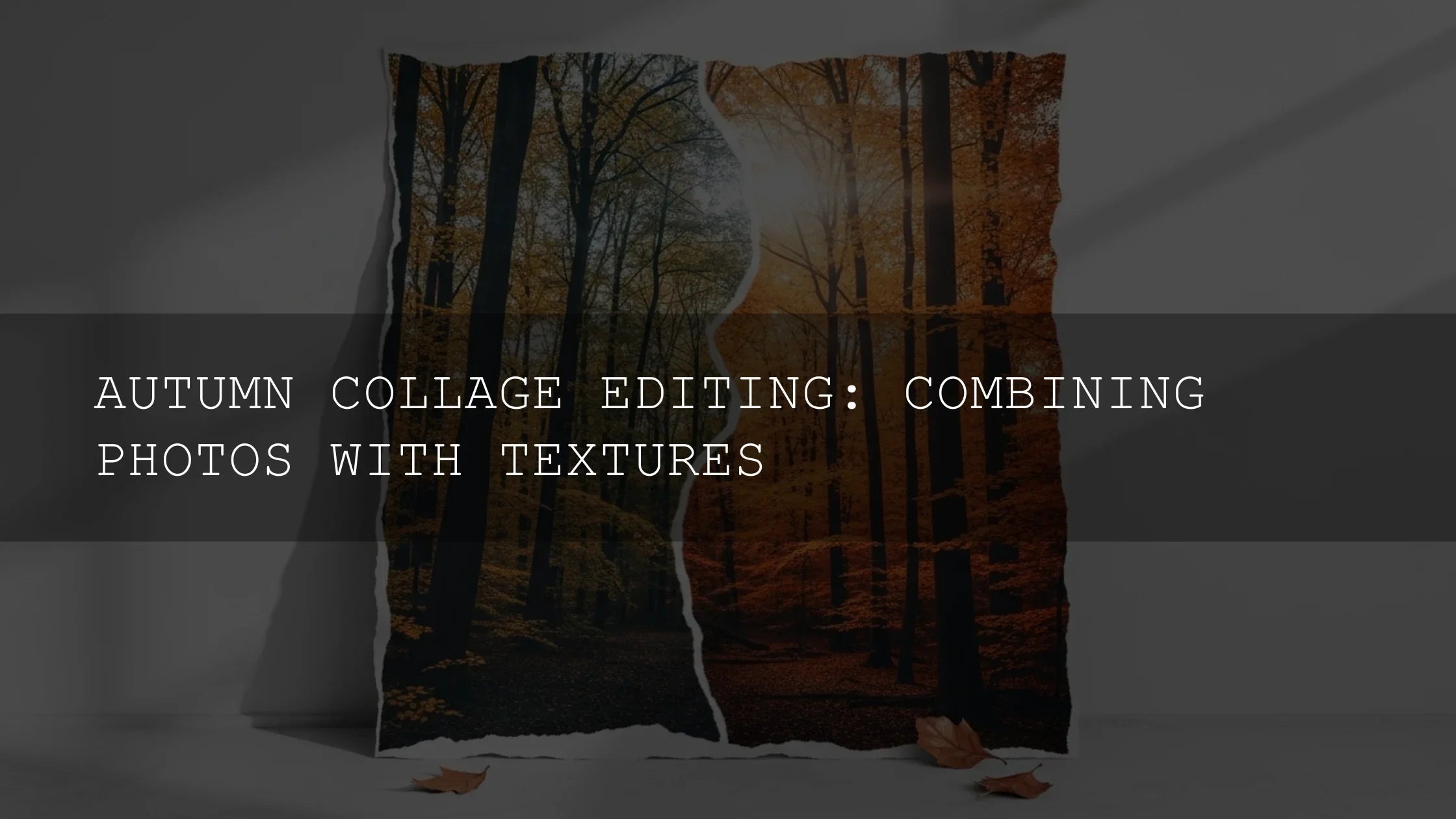 Autumn Collage Editing: Master the Art of Combining Photos with Textures - AAA Presets