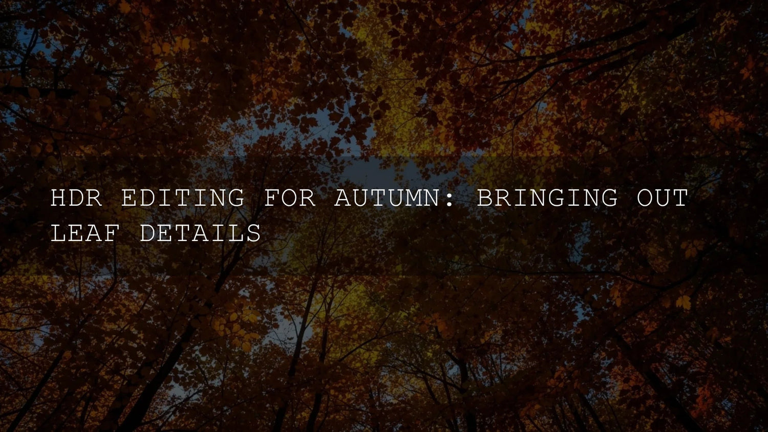 Unlock the Magic of Autumn: Mastering HDR for Stunning Leaf Details in now and Beyond - AAA Presets