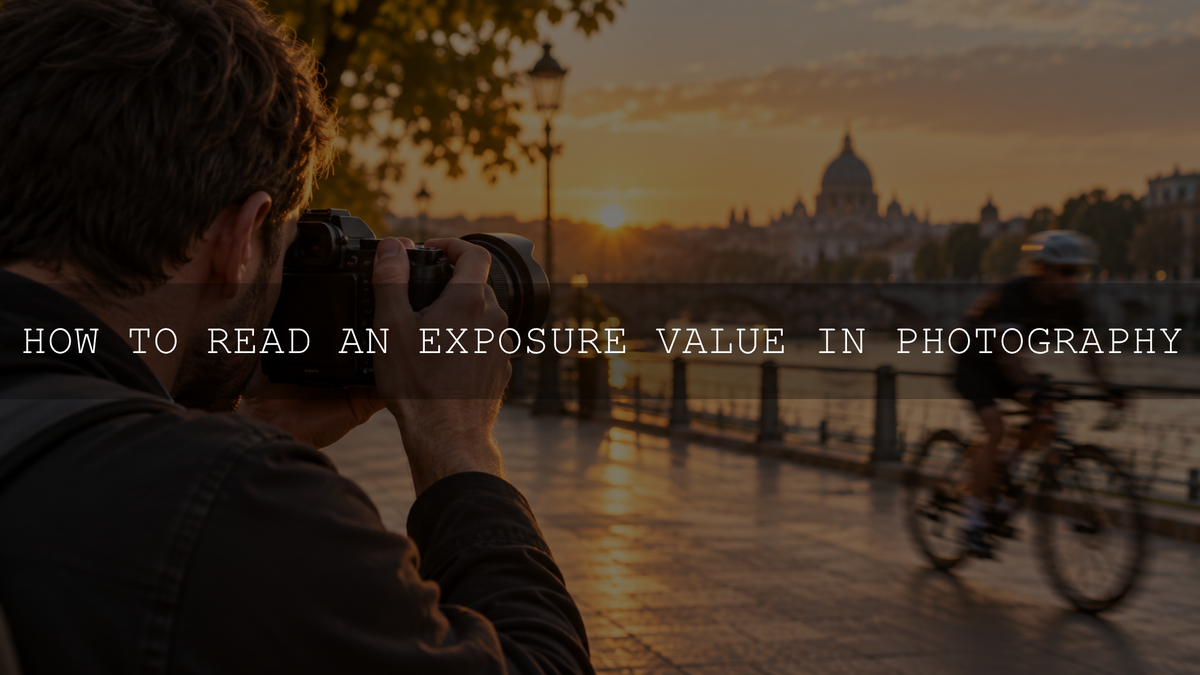What Is Aperture in Photography?