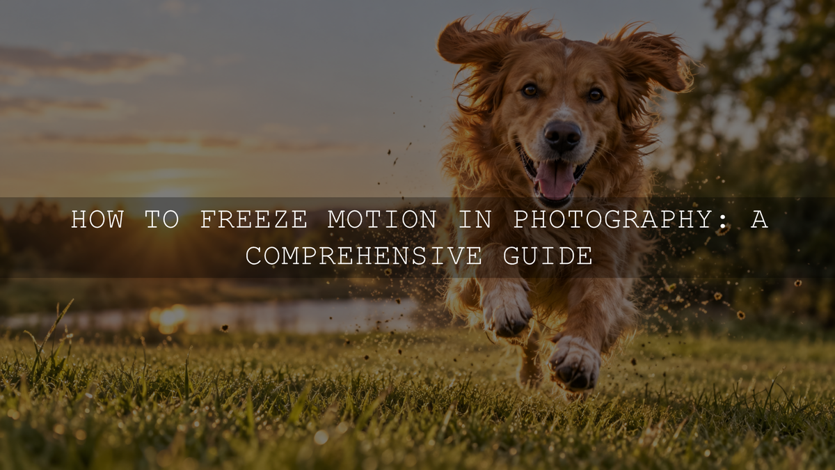 How to Freeze Motion in Photography: A Comprehensive Guide