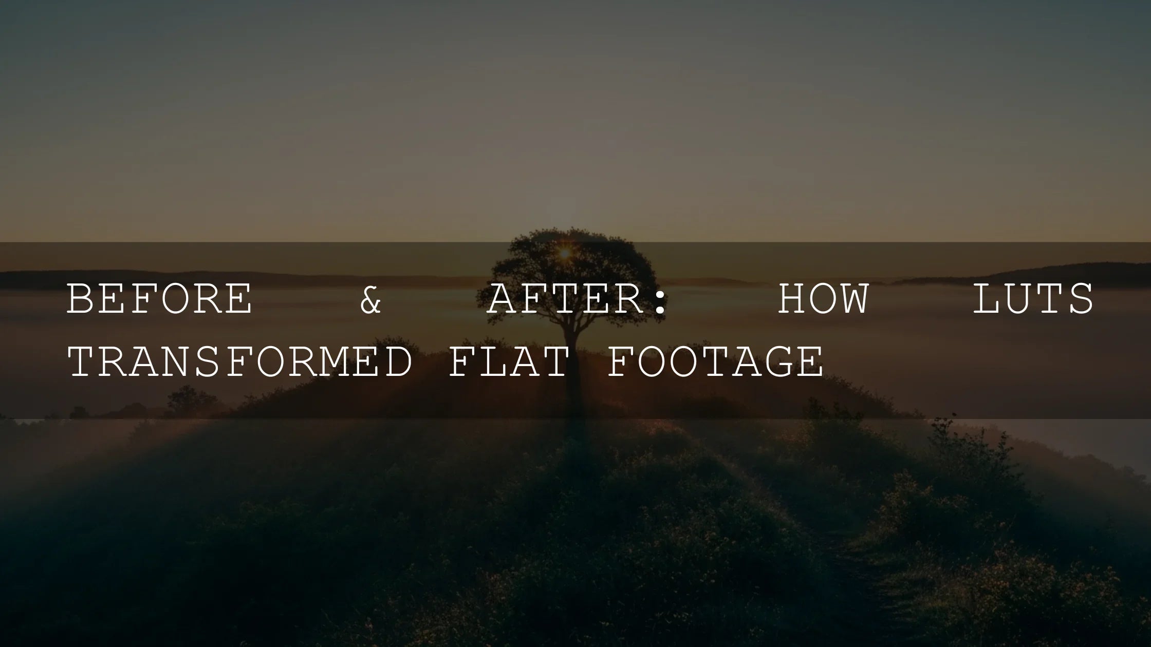 The Ultimate Guide to Transforming Your Flat Footage with LUTs: A Deep Dive - AAA Presets