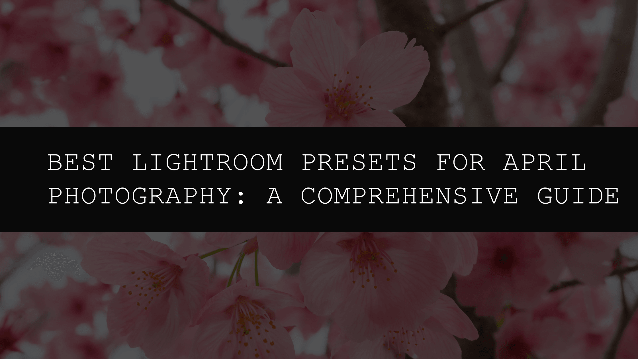 Best Lightroom Presets for April Photography in 2025: A Comprehensive Guide