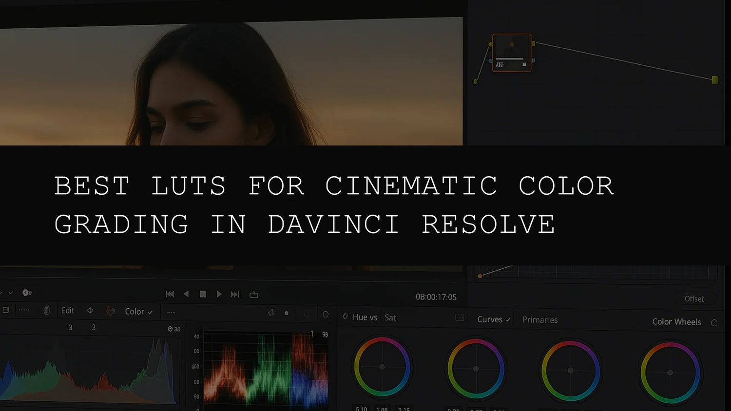 Best LUTs for Cinematic Color Grading in DaVinci Resolve : A Deep Dive - AAA Presets