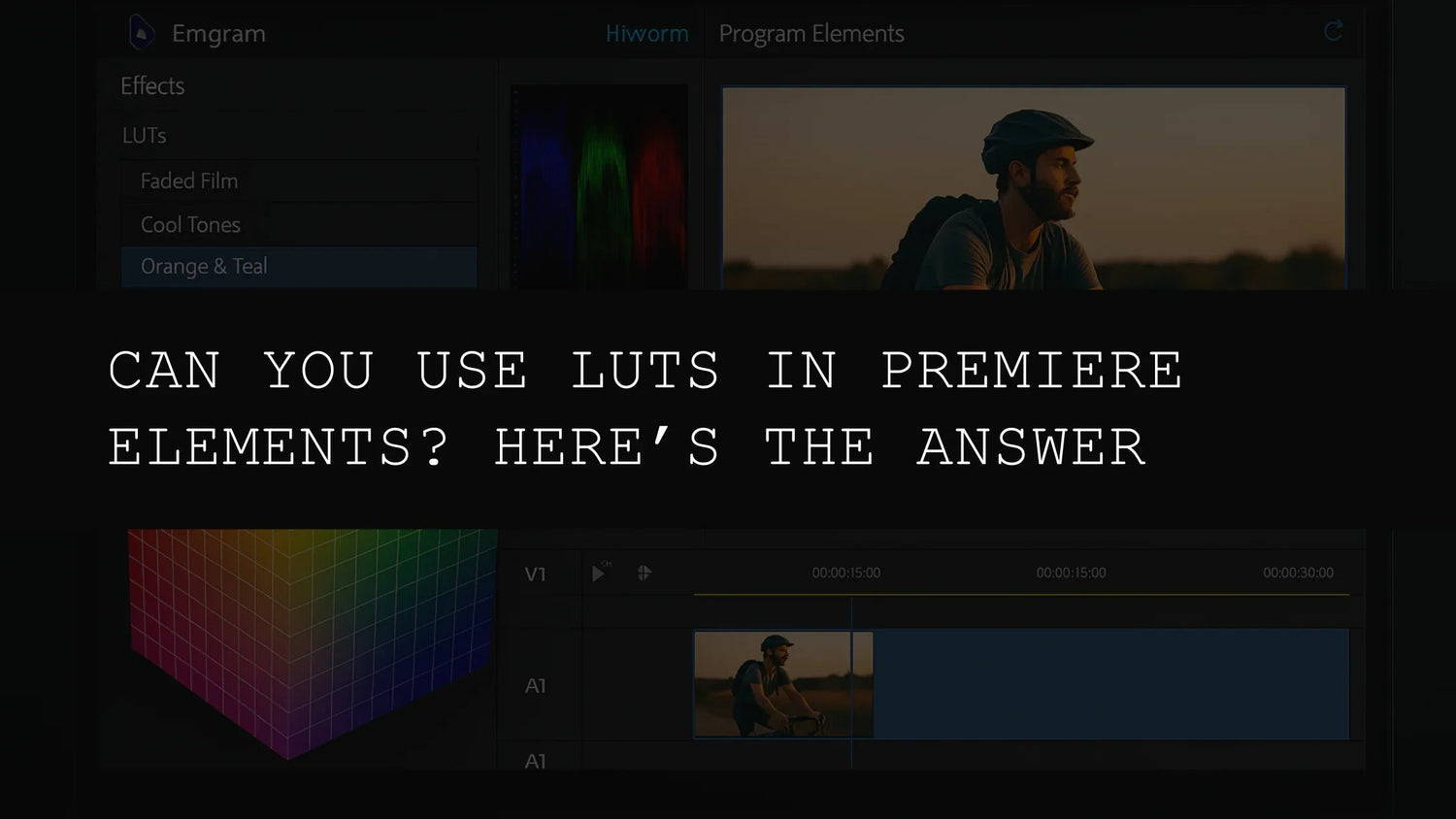 Can You Use LUTs in Premiere Elements? Here’s the Answer - AAA Presets