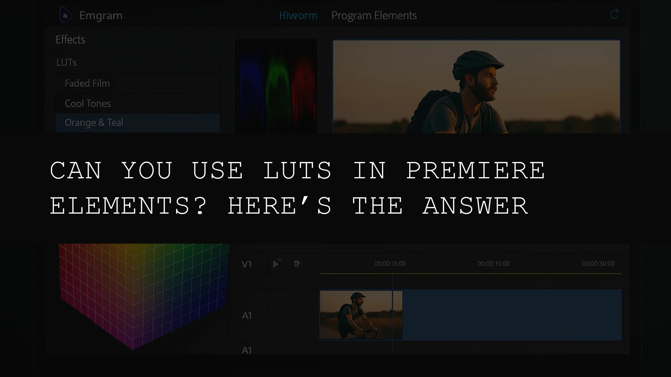 Can You Use LUTs in Premiere Elements? Here’s the Answer - AAA Presets