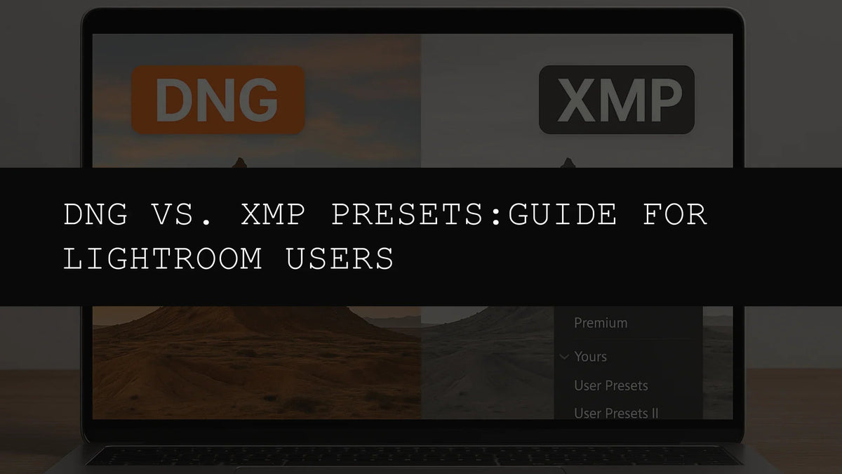 DNG vs. XMP Presets: A Comprehensive Guide for Lightroom Users in 2025 - AAA Presets