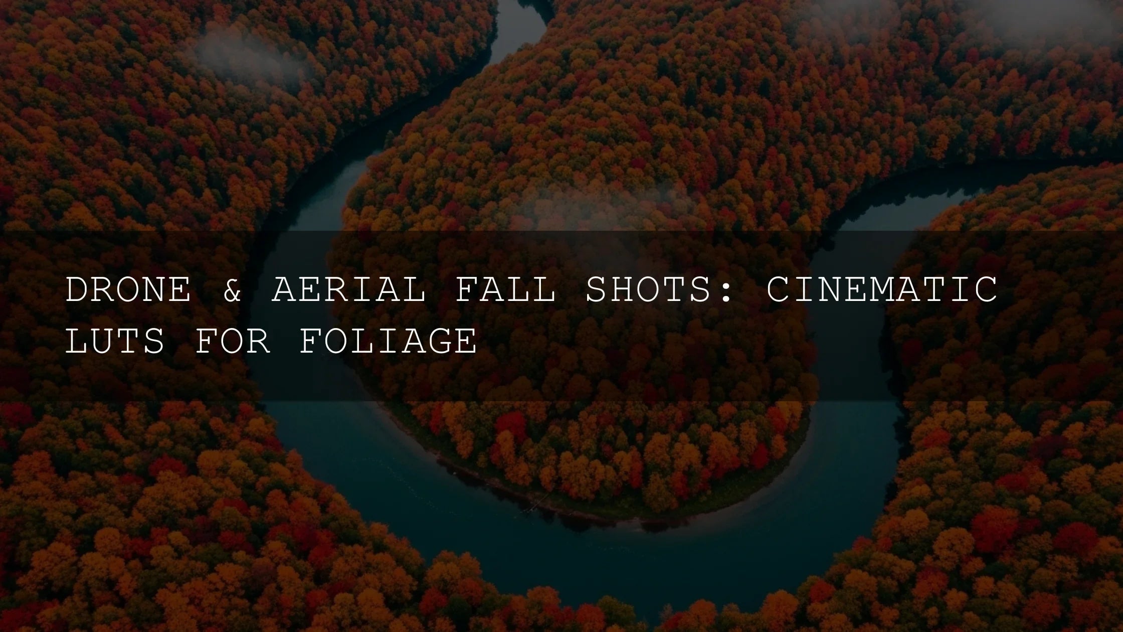 Elevate Your Drone Footage: Mastering Cinematic LUTs for Foliage - AAA Presets