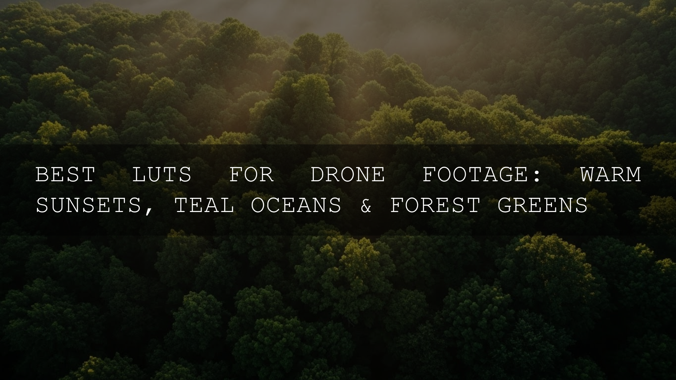 Mastering Aerial Aesthetics: The Ultimate Guide to LUTs for Drone Footage in 2026 - Sunsets, Oceans, and Forests