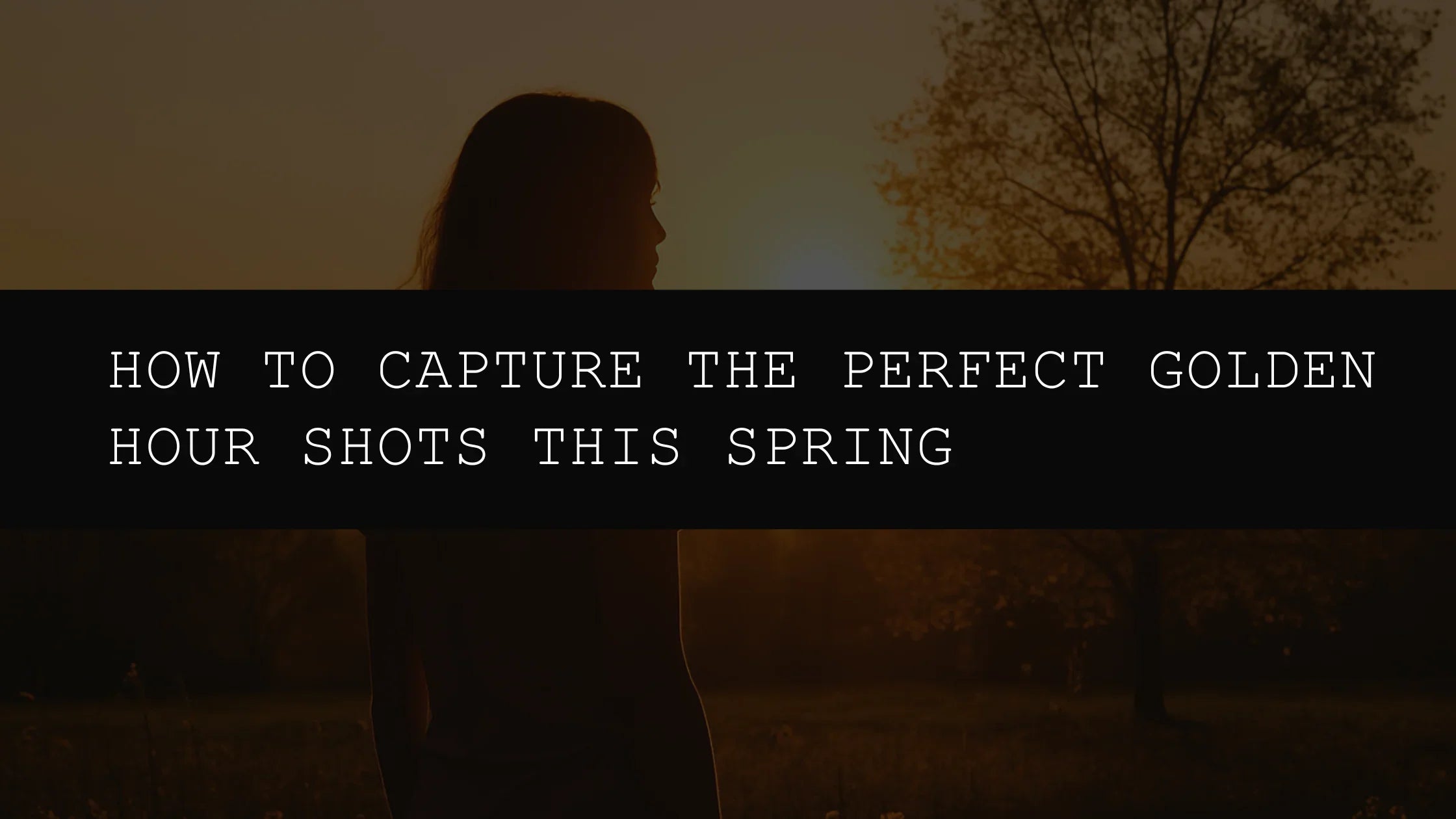 How to Capture the Perfect Golden Hour Shots This Spring: A Comprehensive Guide