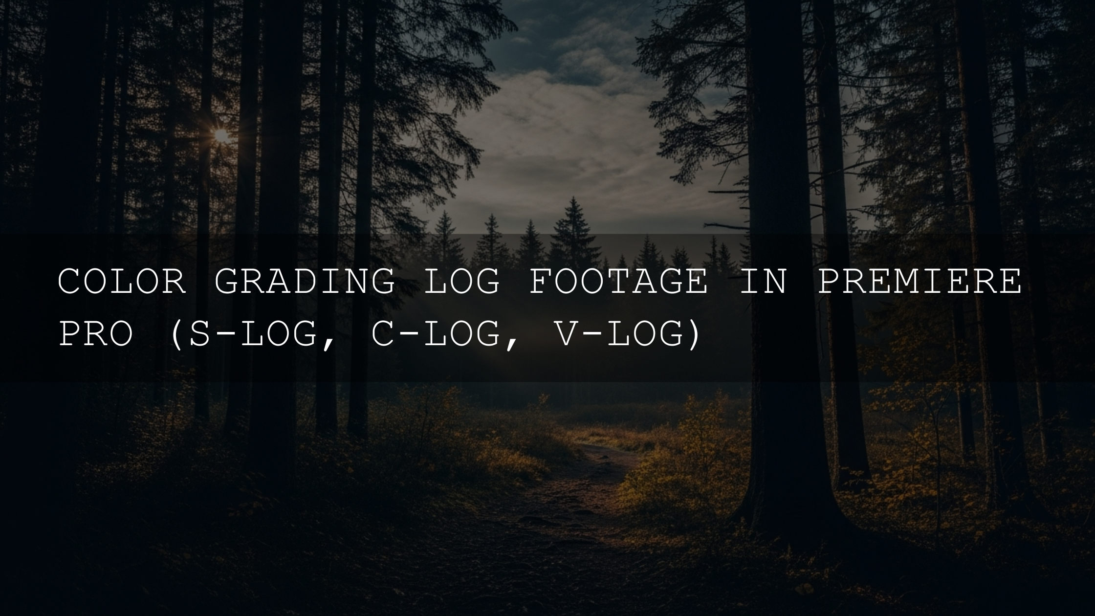 Unlocking Cinematic Potential: Your Ultimate Guide to Grading LOG Footage in Premiere Pro (S-Log, C-Log, V-Log)
