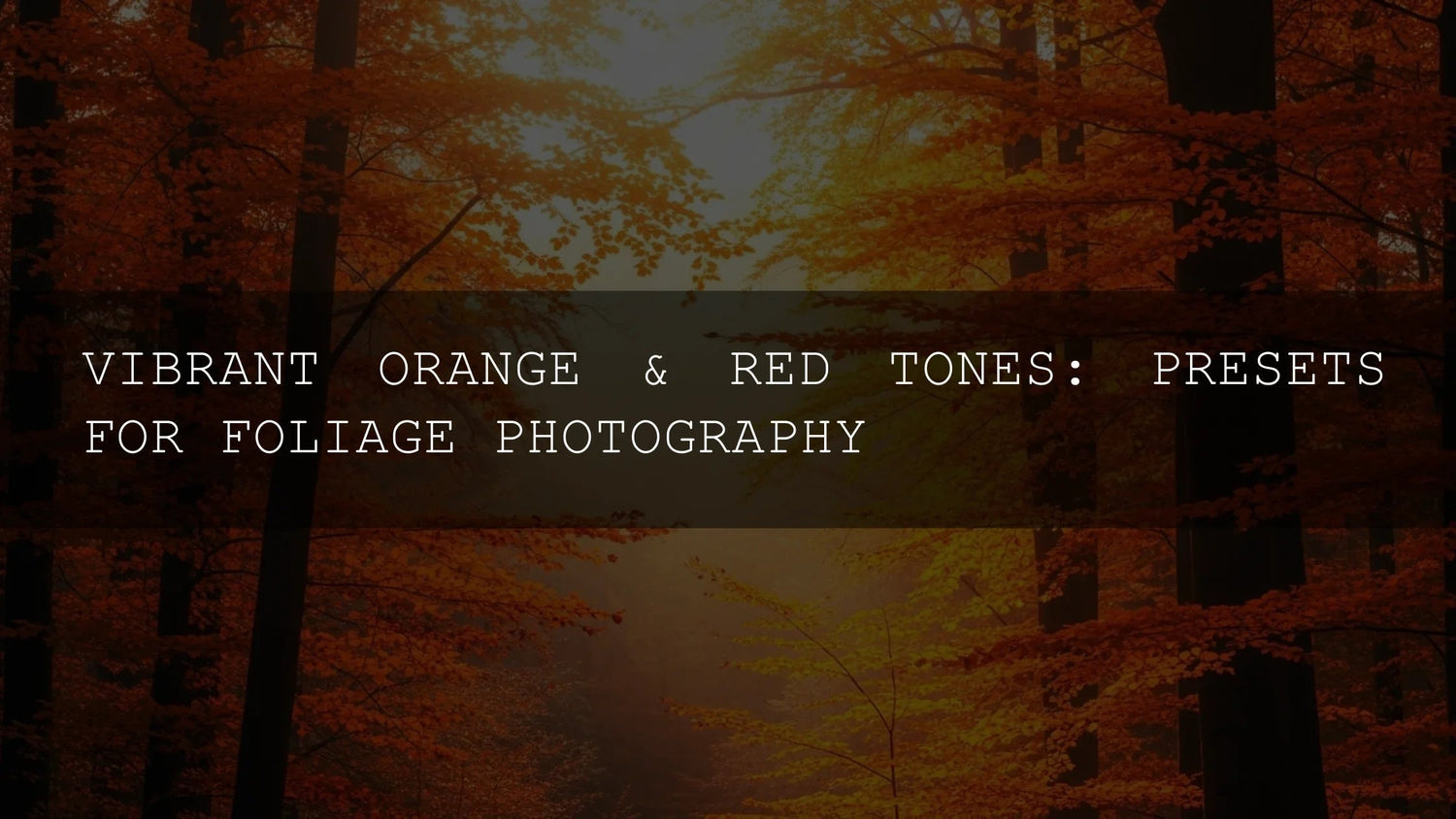 Vibrant Orange & Red Tones: Presets for Stunning Foliage Photography - AAA Presets