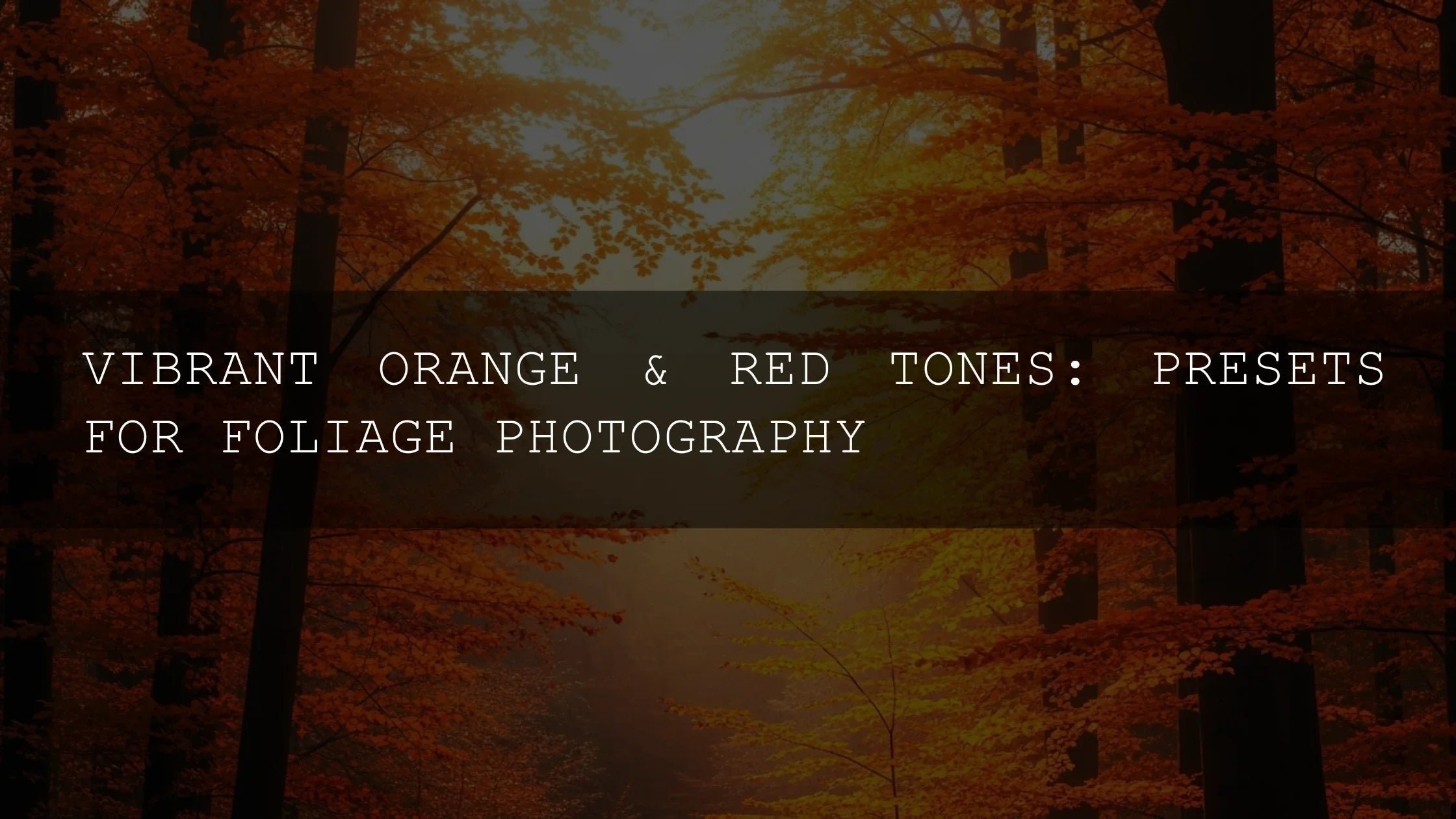 Vibrant Orange & Red Tones: Presets for Stunning Foliage Photography - AAA Presets