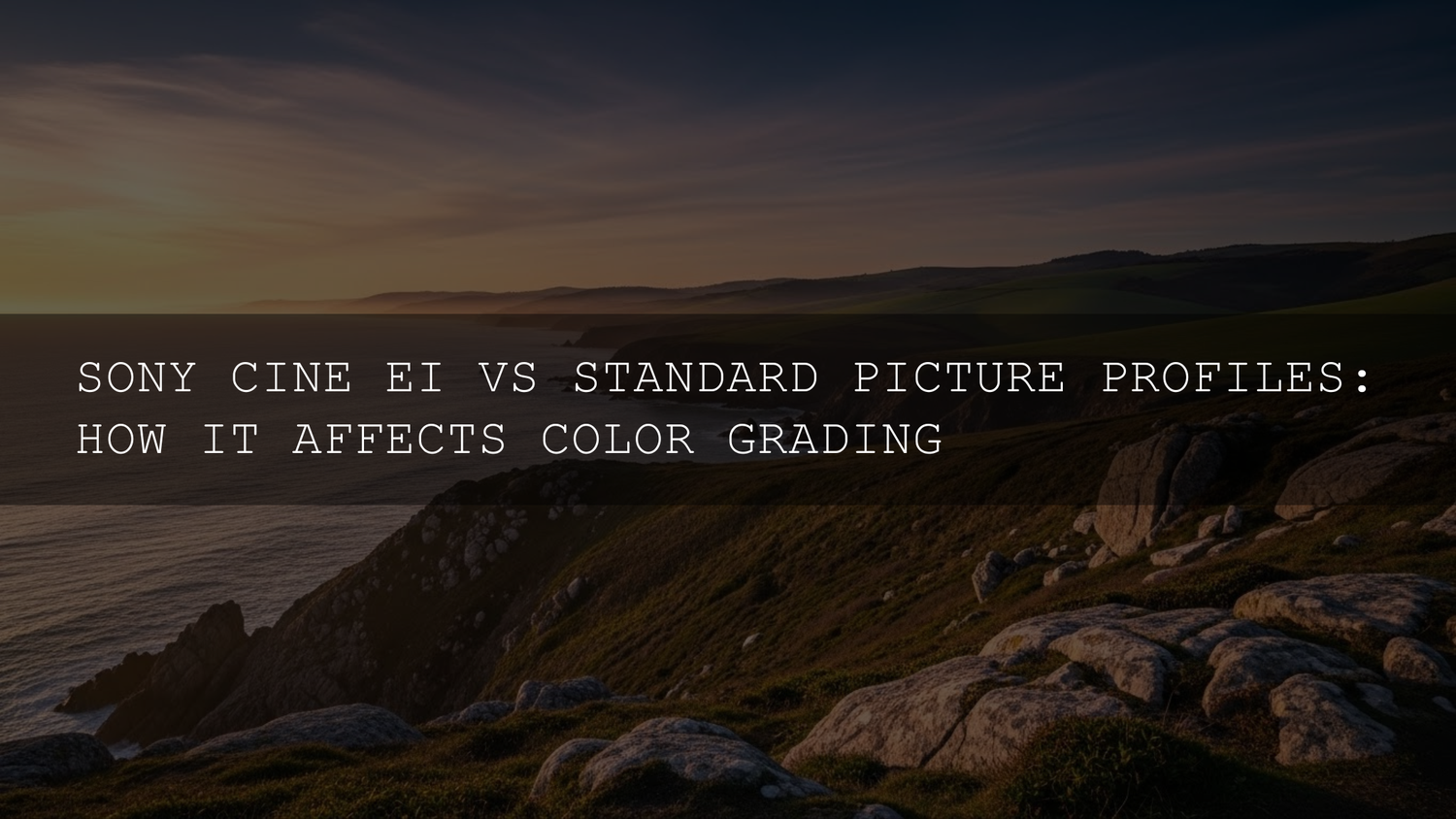 Sony Cine EI vs Standard Picture Profiles: How It Affects Color Grading in 2025 - A Deep Dive into Maximum Creative Control - AAA Presets