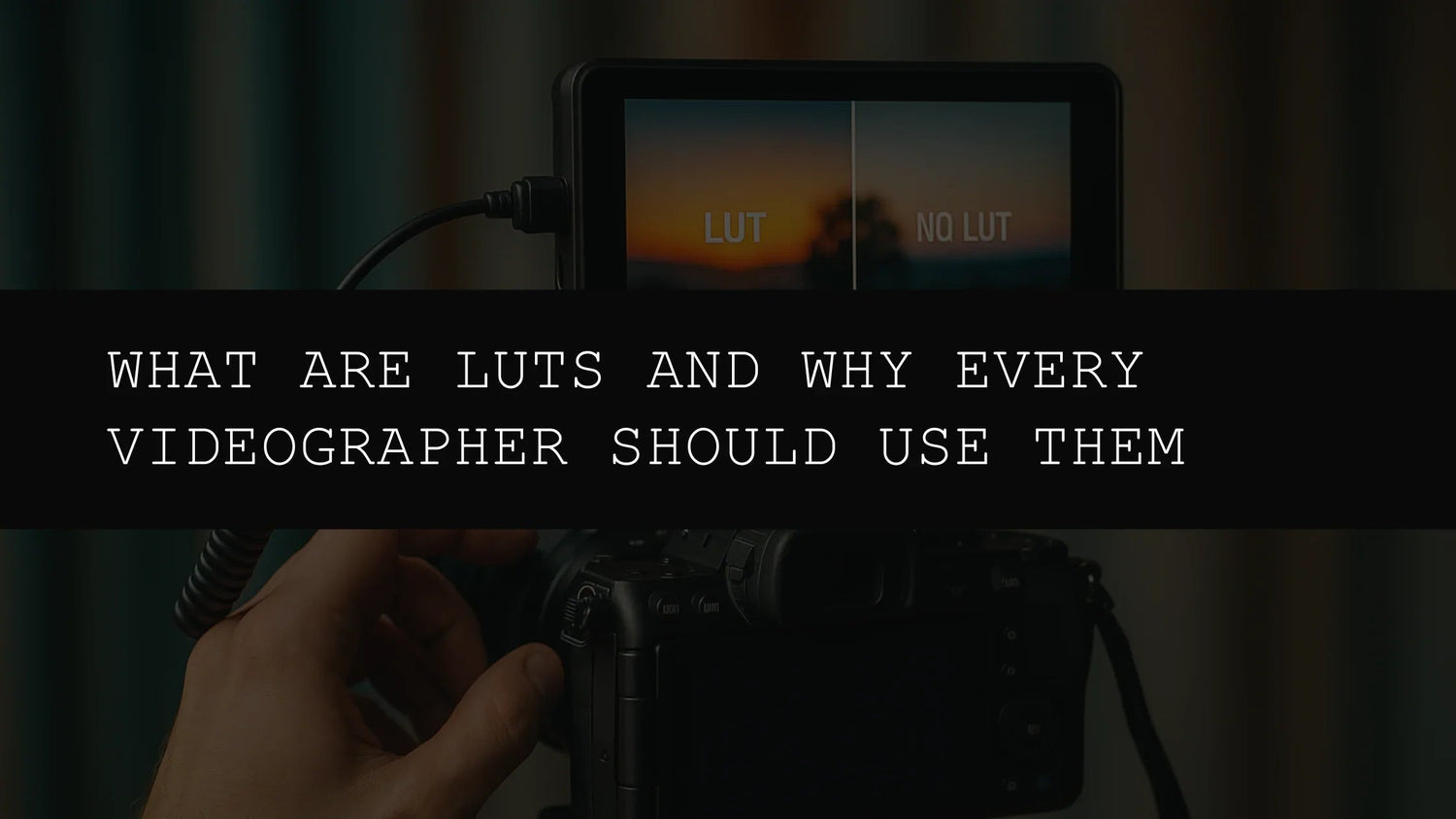 What Are LUTs and Why Every Videographer Should Use Them in 2025 - AAA Presets
