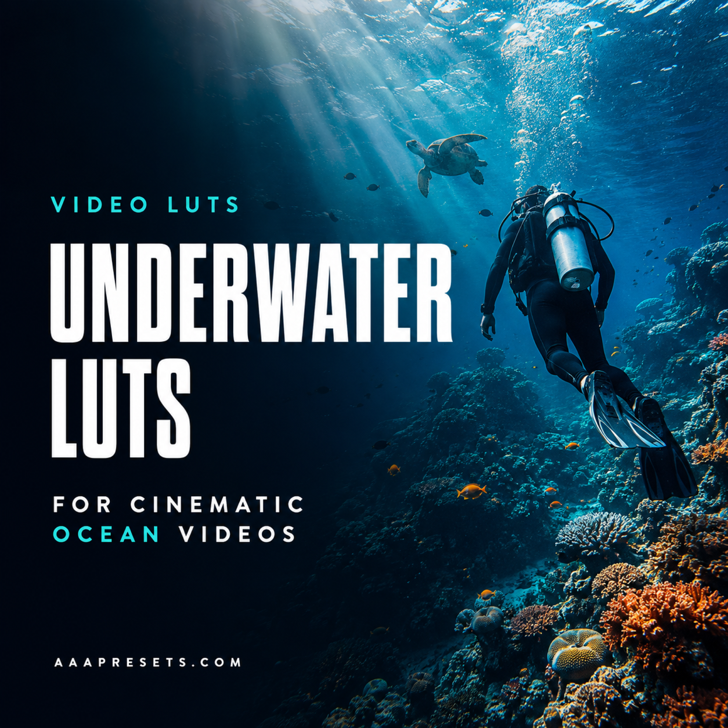 Underwater LUTs for Cinematic Ocean Videos