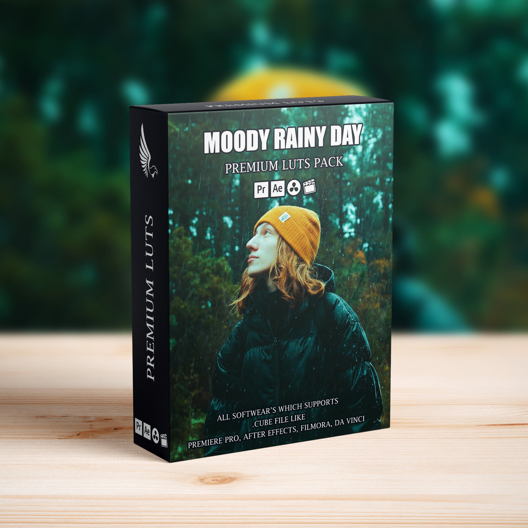 Cinematic Moody Rainy Day LUTs Pack - Video LUTs - by AAA Presets