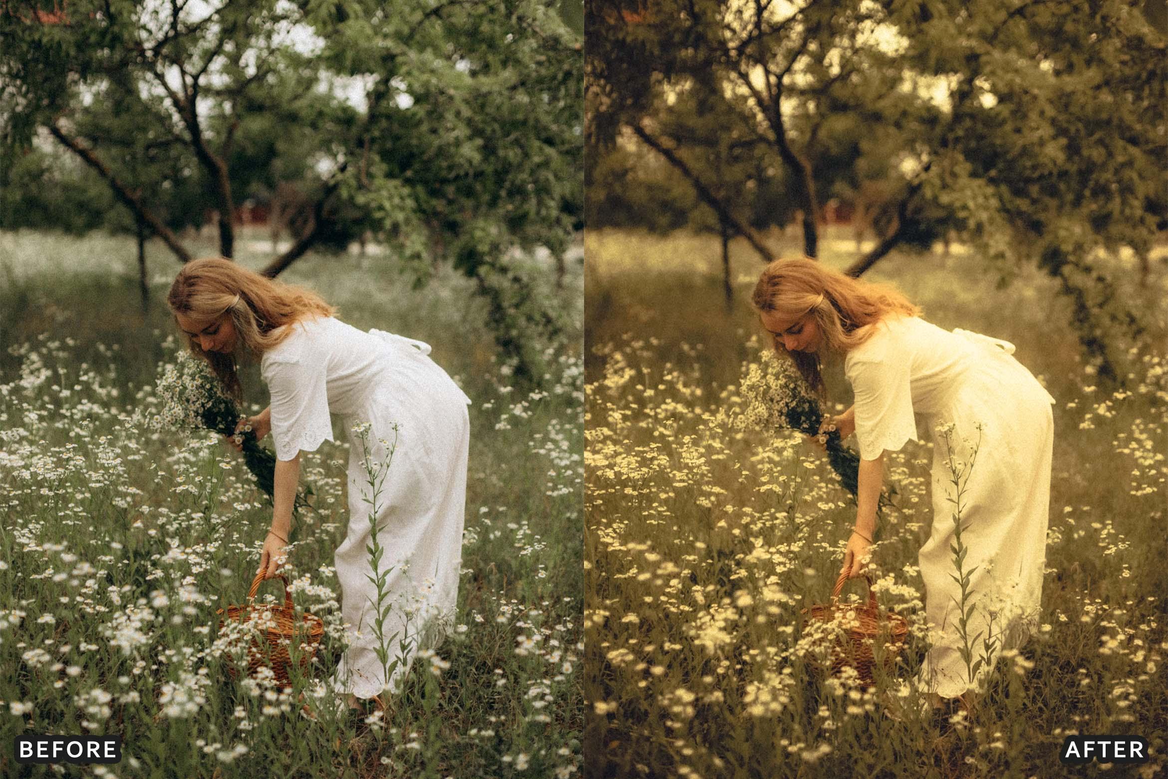 35mm Vintage Kodak Lightroom Presets - Lightroom Presets - by AAA Presets