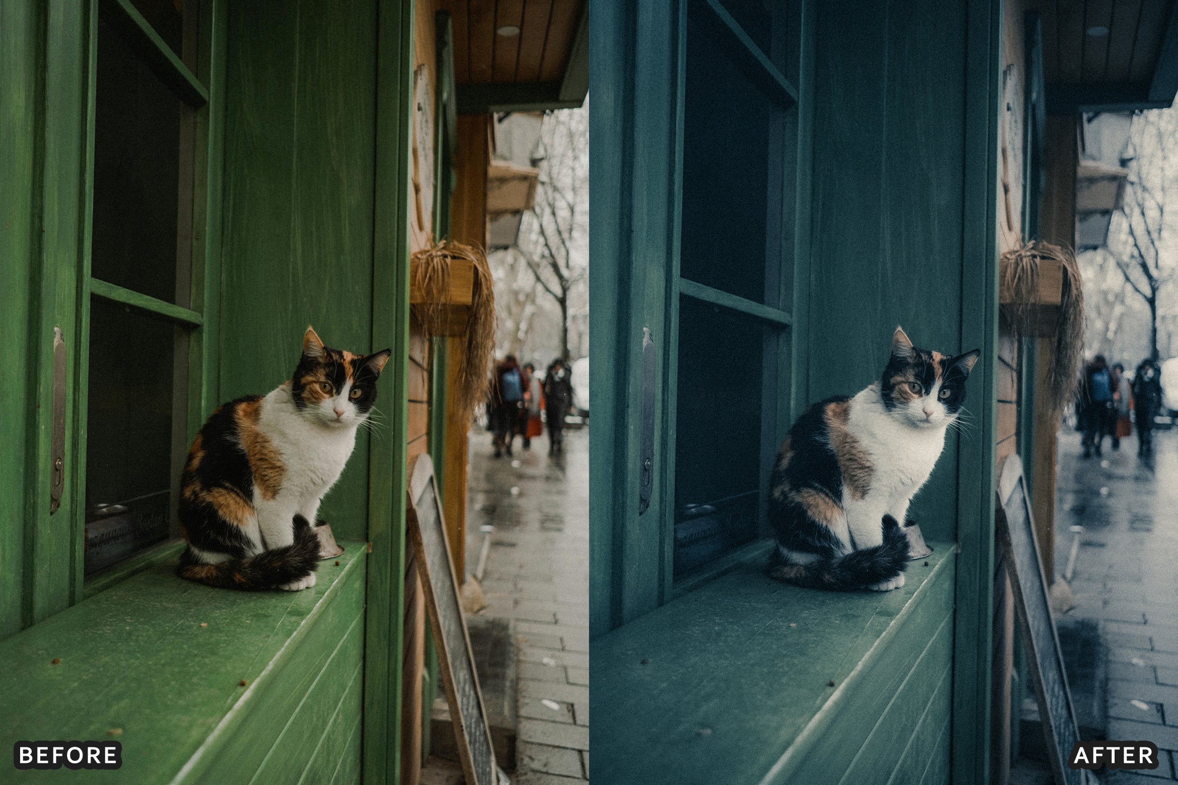 AI-Optimized 80s Vintage Pastel Tone Lightroom Presets - Lightroom Presets - by AAA Presets