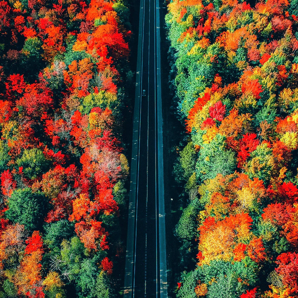 Cinematic luts & lightroom presets by AAA Presets - aaapresets.com