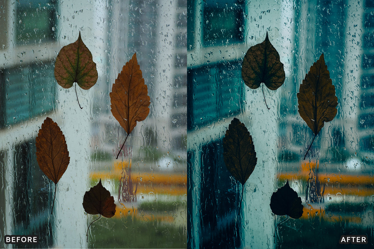 Fall Cinematic Rain Film Lightroom Presets before and after photo example 01