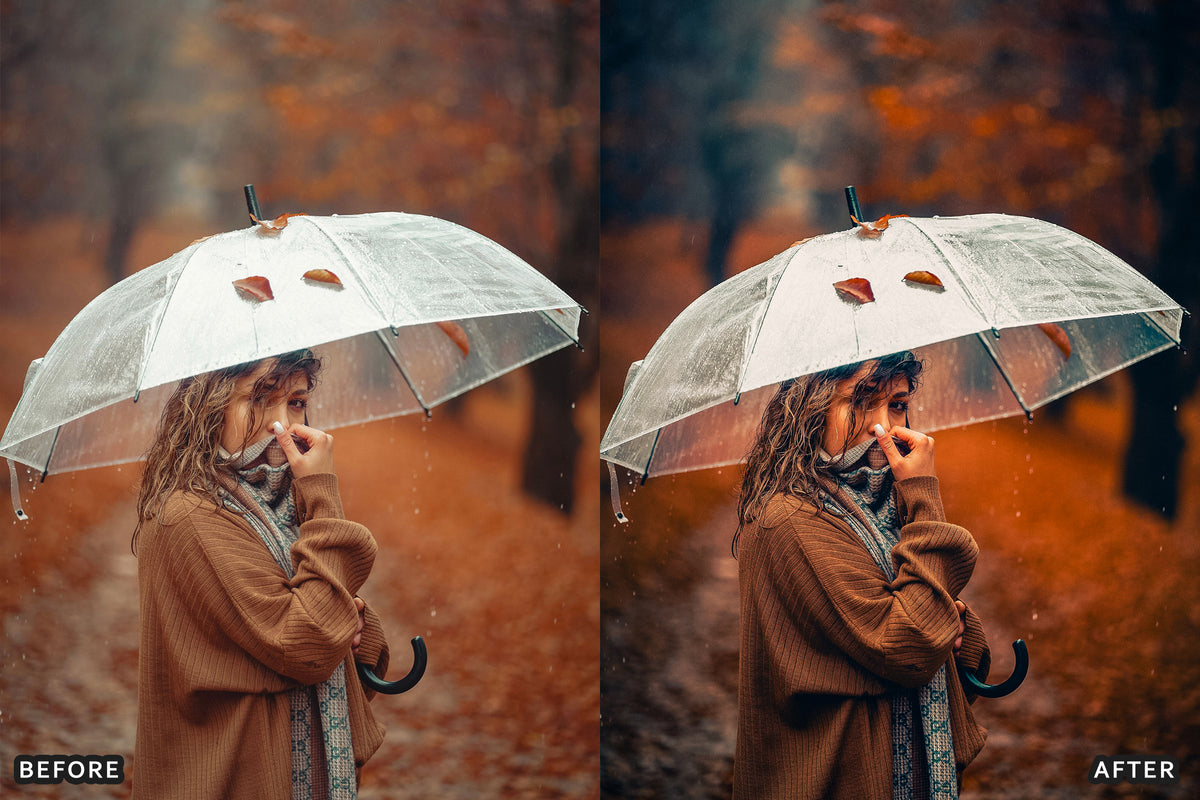 Fall Cinematic Rain Film Lightroom Presets before and after photo example 02