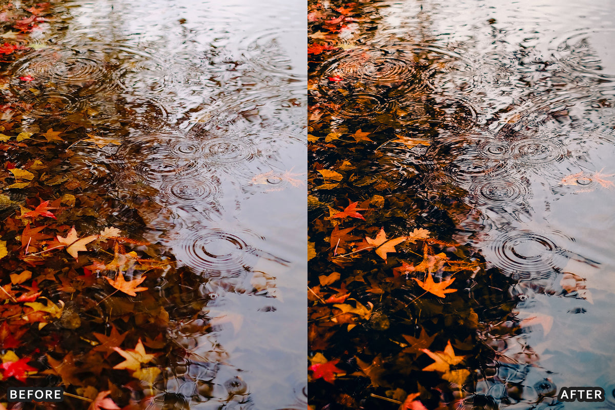 Fall Cinematic Rain Film Lightroom Presets before and after photo example 08