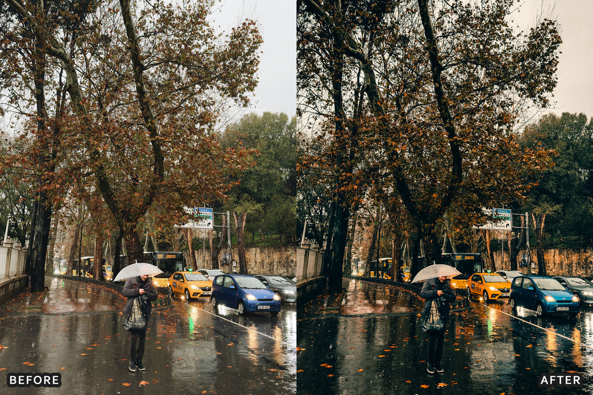 Fall Cinematic Rain Film Lightroom Presets before and after photo example 11