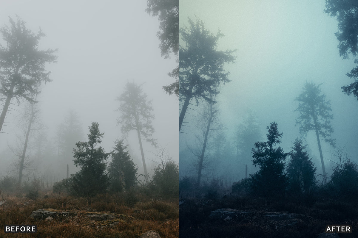 Foggy Gothic Film Lightroom Presets before and after photo example 01