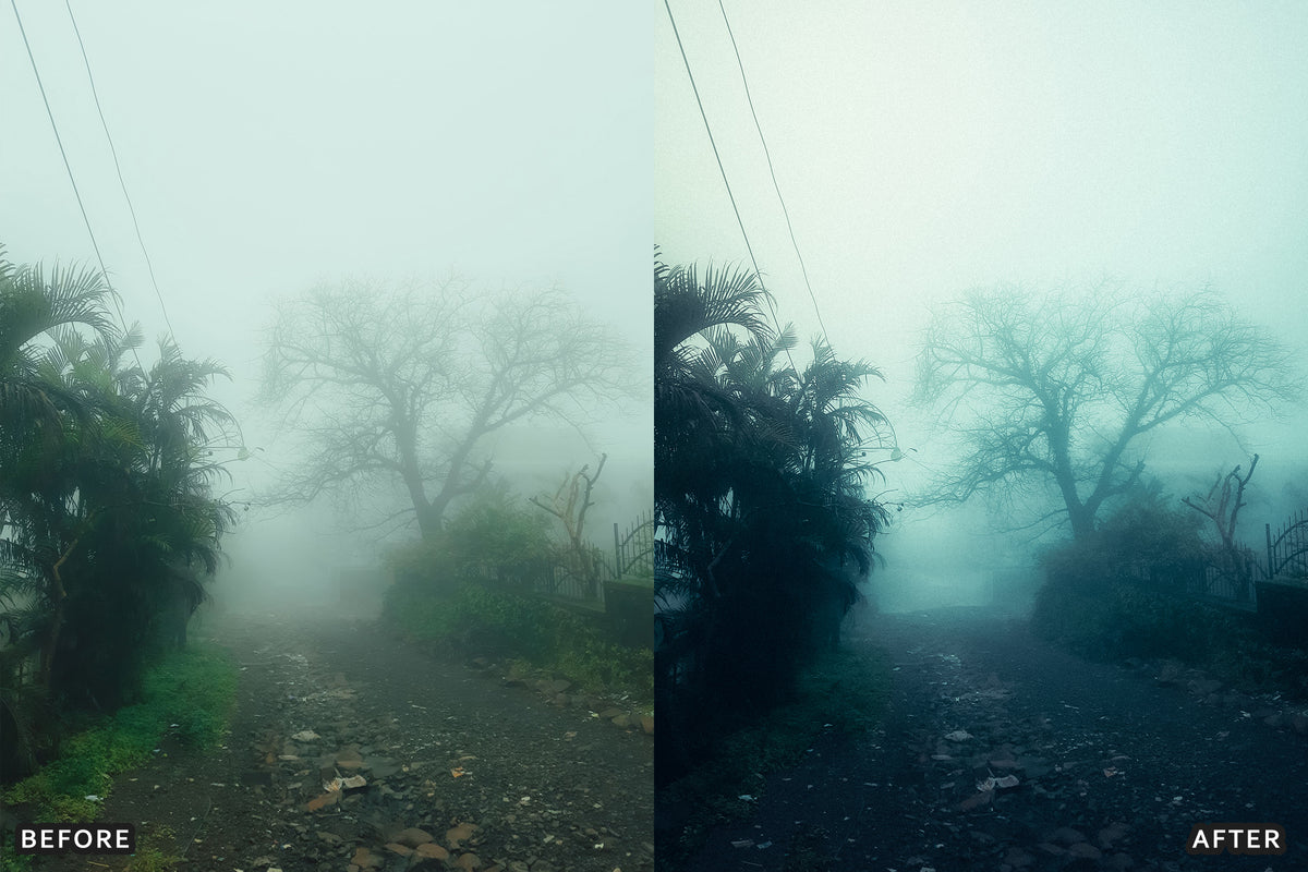 Foggy Gothic Film Lightroom Presets before and after photo example 02