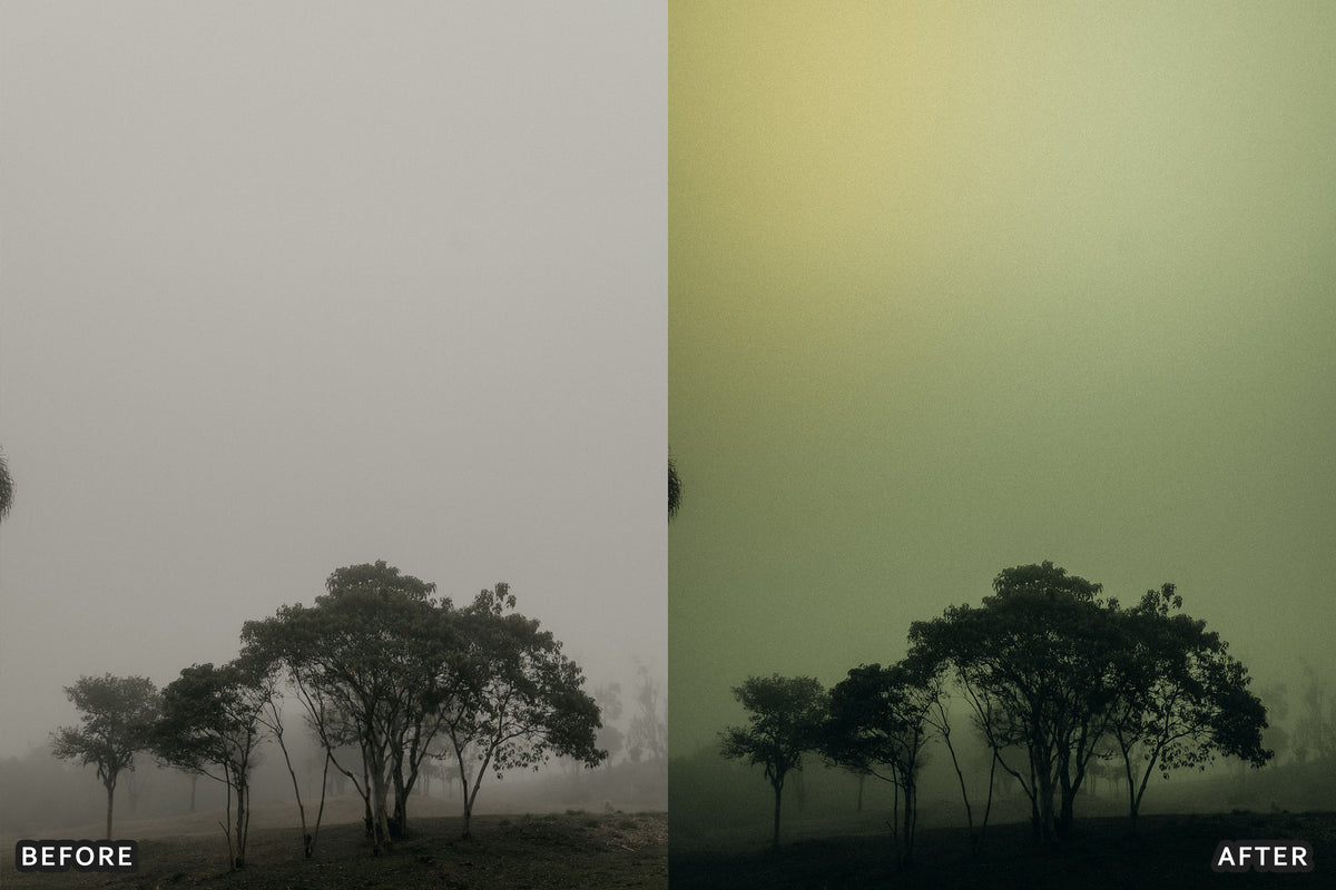 Foggy Gothic Film Lightroom Presets before and after photo example 03