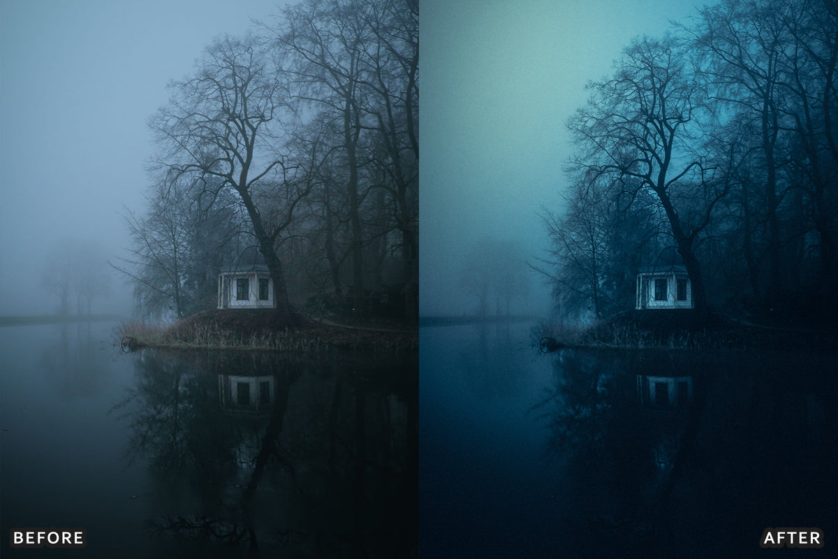 Foggy Gothic Film Lightroom Presets before and after photo example 04