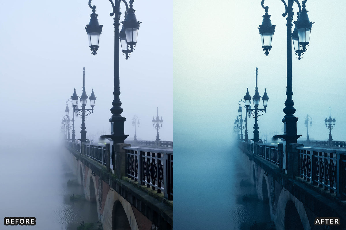 Foggy Gothic Film Lightroom Presets before and after photo example 06