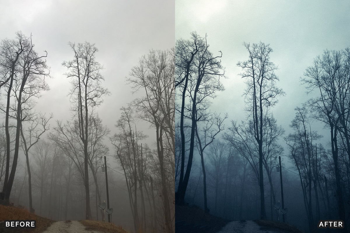 Foggy Gothic Film Lightroom Presets before and after photo example 07
