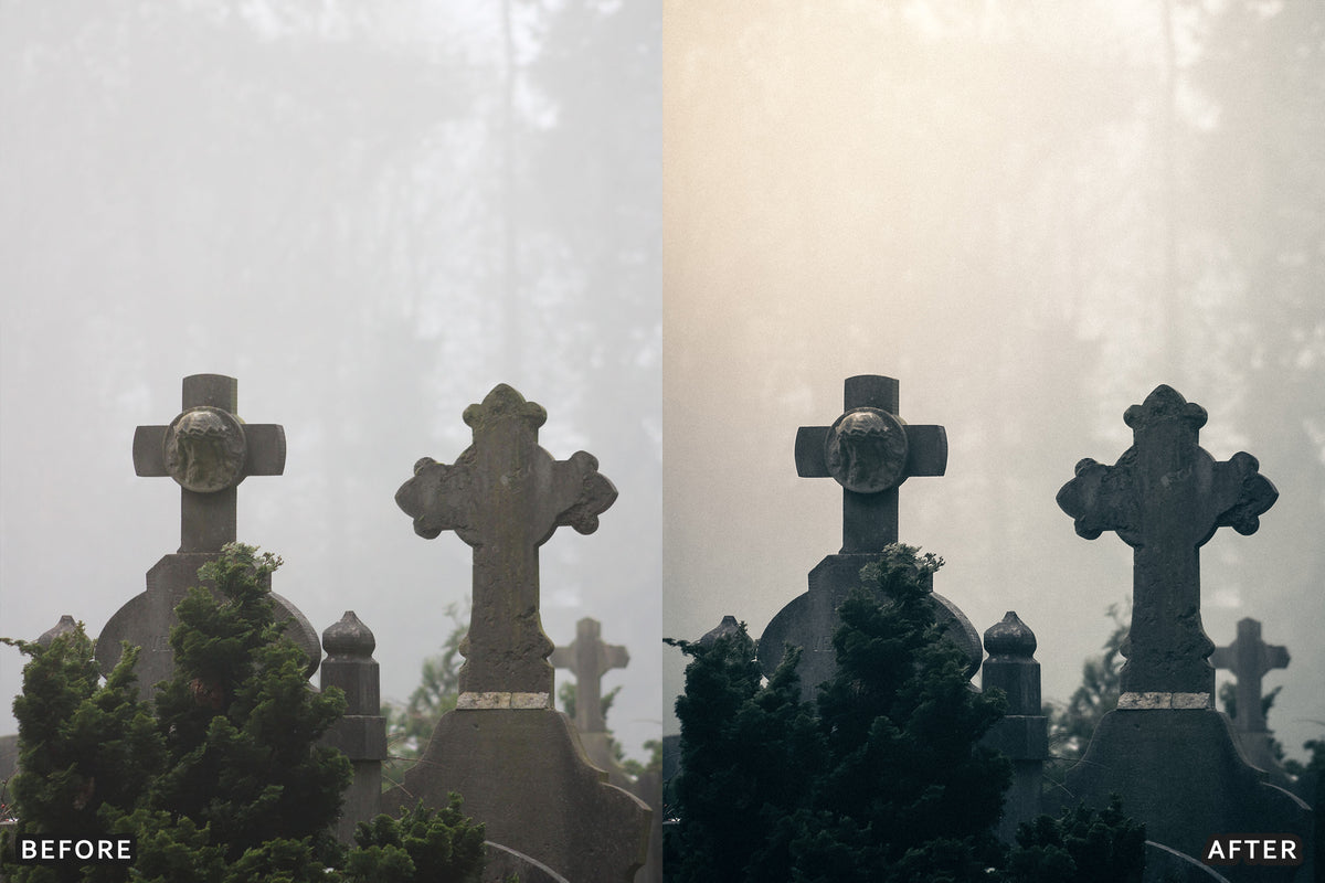Foggy Gothic Film Lightroom Presets before and after photo example 10