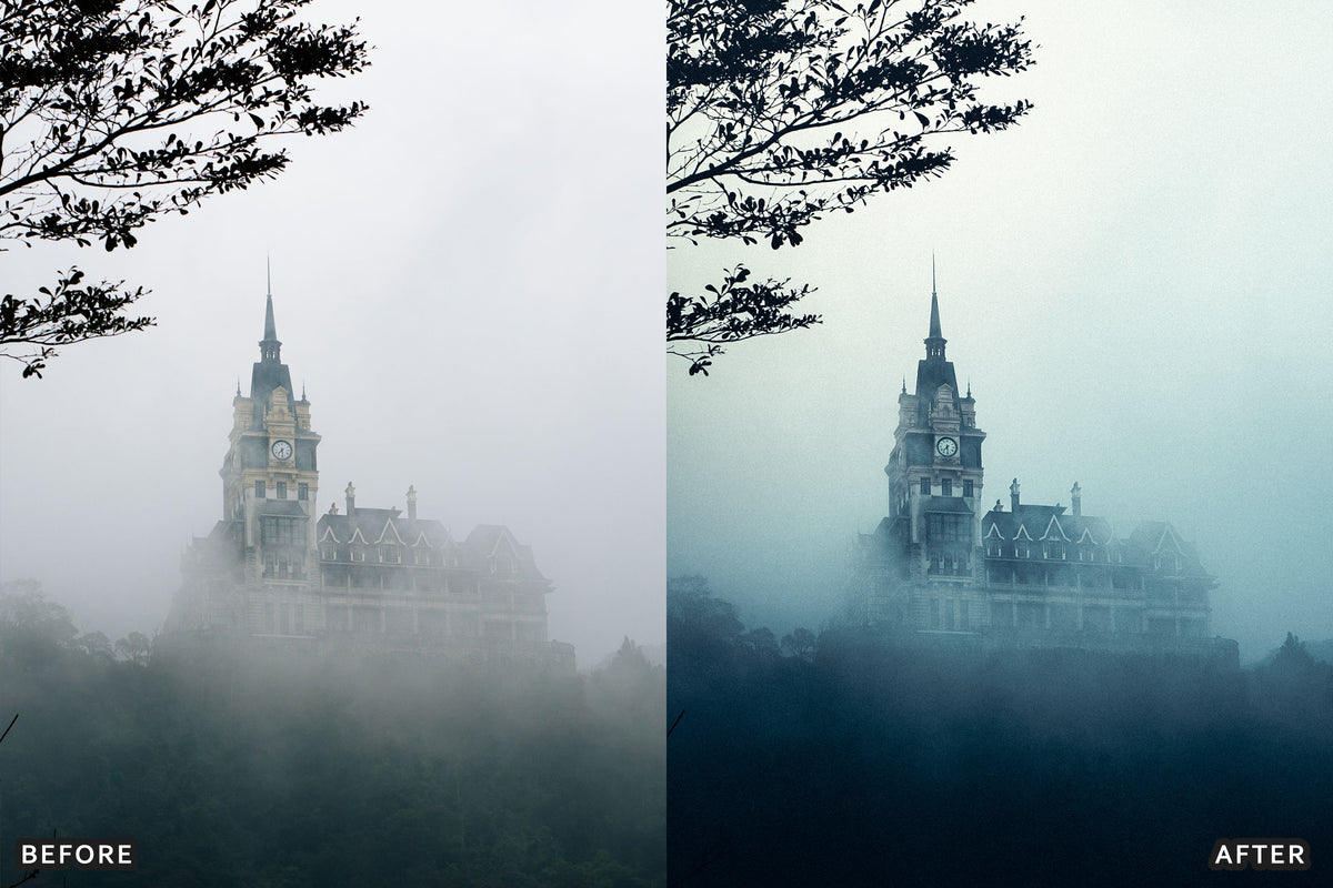 Foggy Gothic Film Lightroom Presets before and after photo example 12