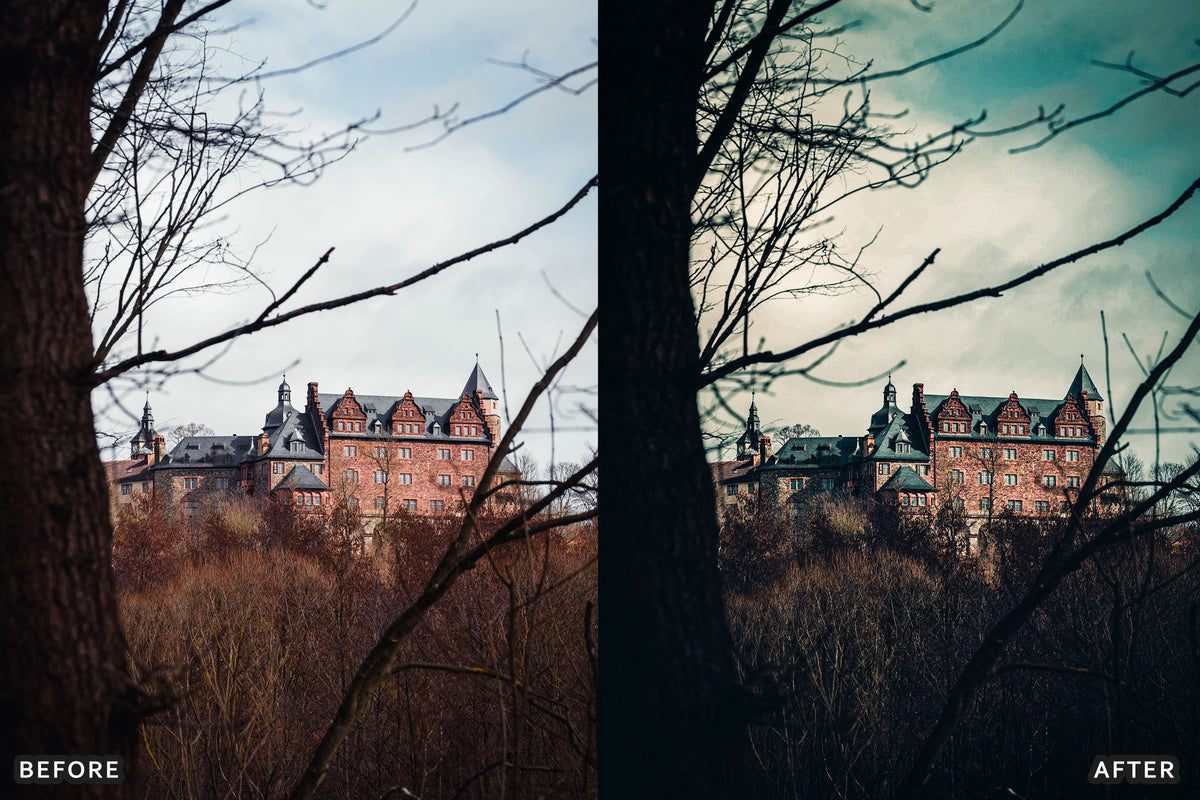 Gothic Manor Lightroom Presets before and after photo example 01