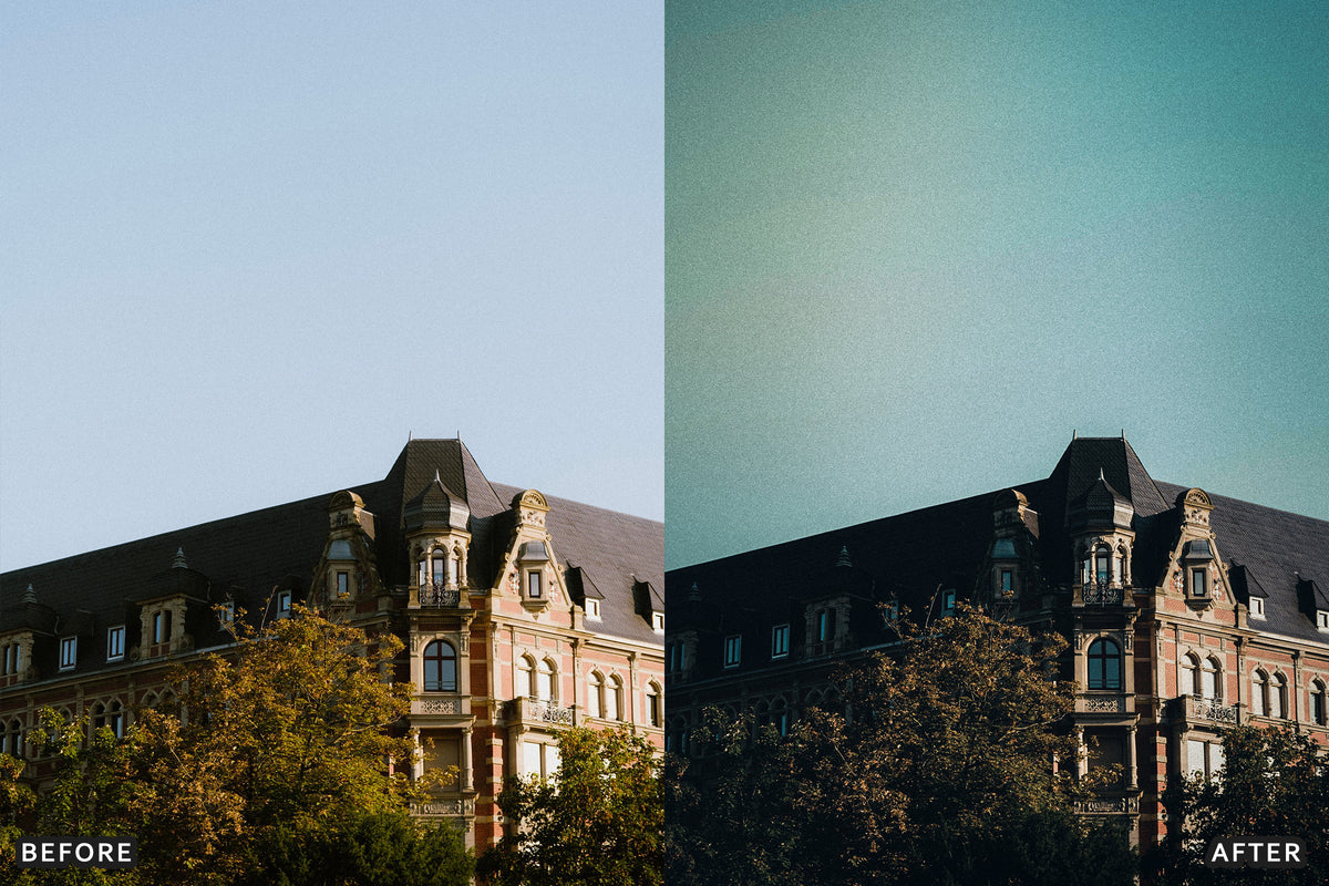 Gothic Manor Lightroom Presets before and after photo example 02