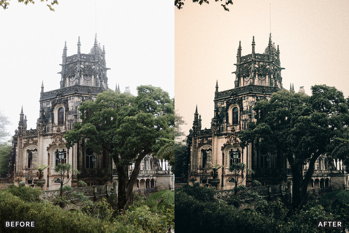 Gothic Manor Lightroom Presets before and after photo example 05