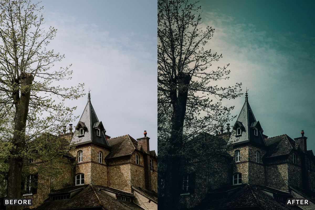 Gothic Manor Lightroom Presets before and after photo example 06