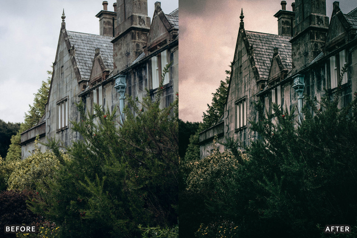 Gothic Manor Lightroom Presets before and after photo example 10