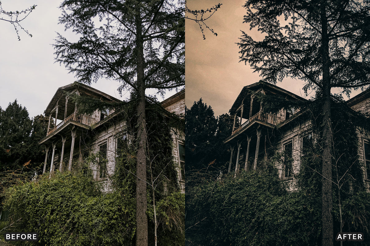 Gothic Manor Lightroom Presets before and after photo example 12