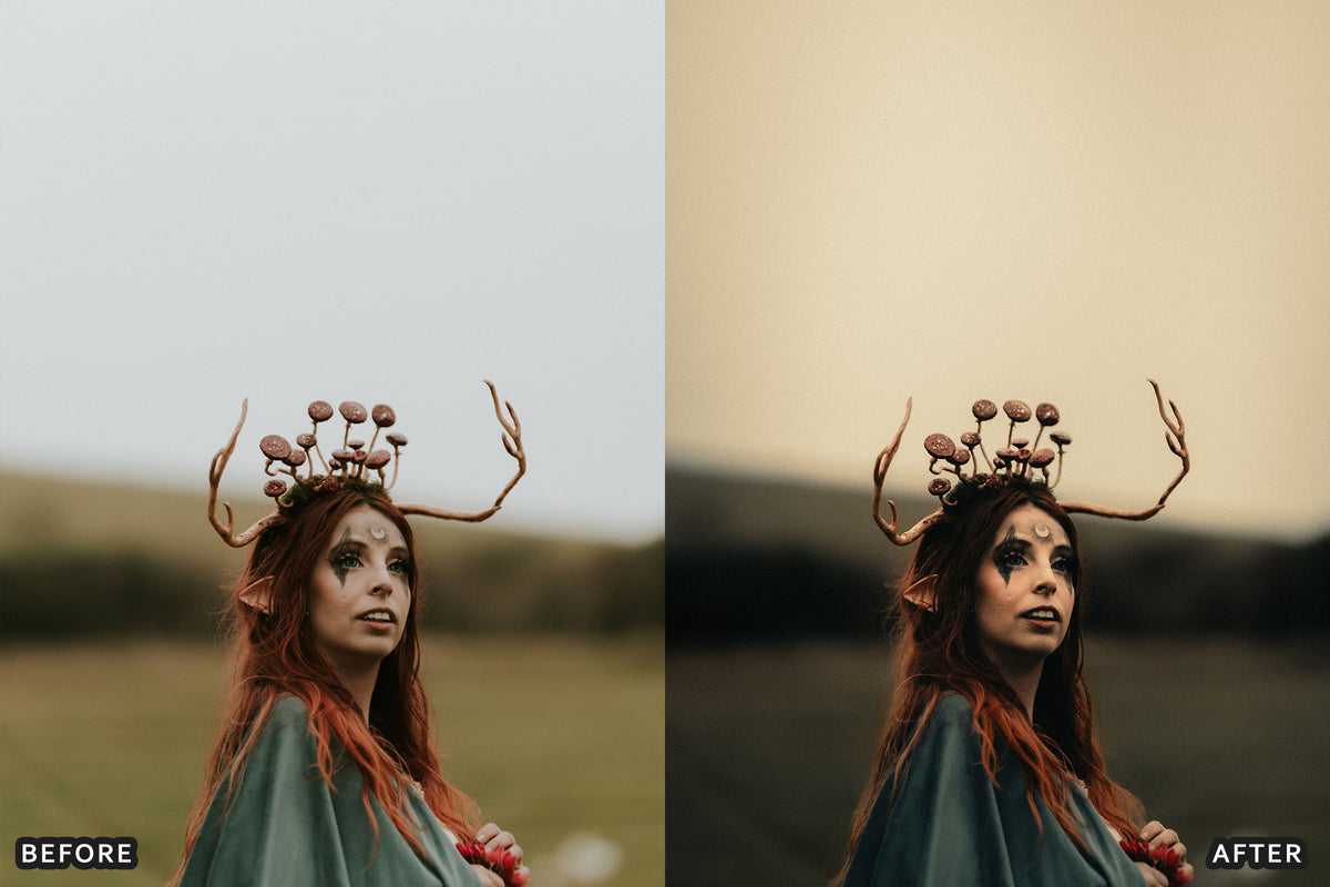 Gothic Romance Lightroom Presets before and after photo example 06